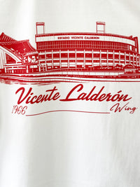 Camiseta 1966